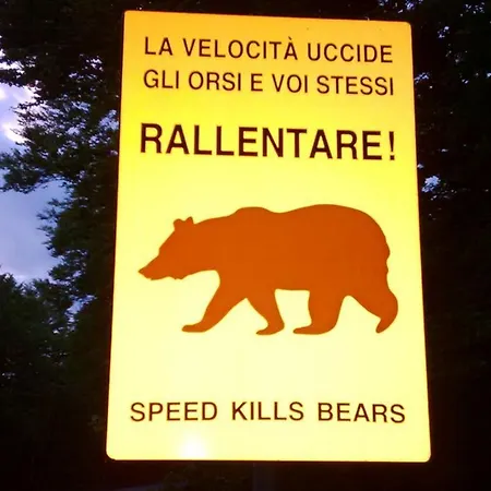 Volpe - San Sebastiano