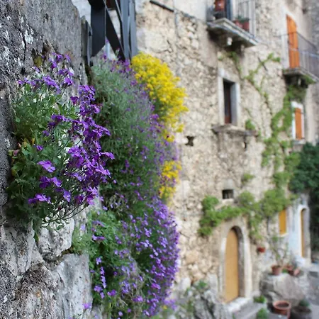 Volpe - San Sebastiano Daire *